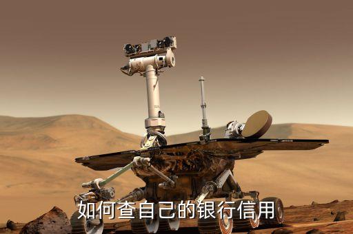 如何查自己的银行信用