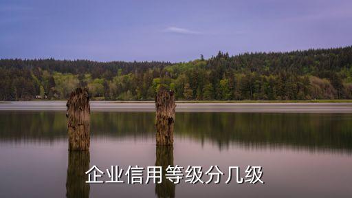 公司信用评级为多少级，谁知道企业信用评级最高是几级
