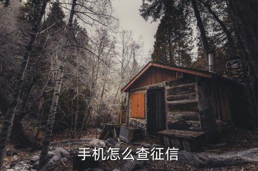 手机怎么查征信
