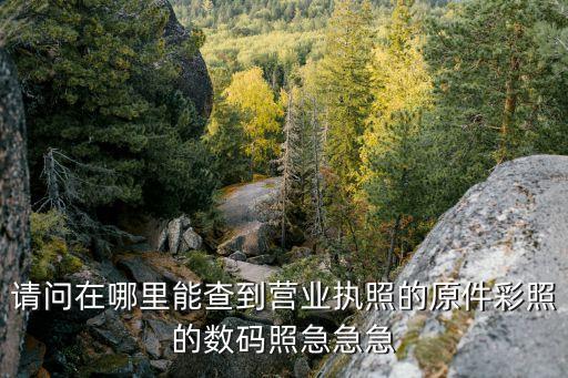 请问在哪里能查到营业执照的原件彩照的数码照急急急
