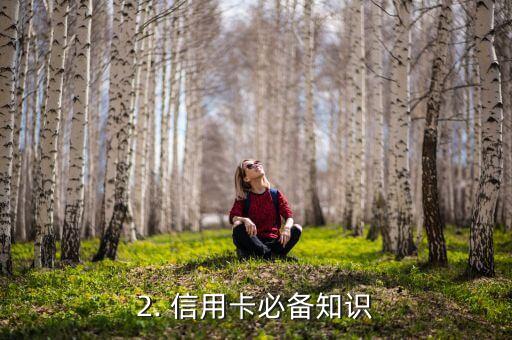 玩信用卡必备知识，信用卡使用技巧，让你在消费中得心应手