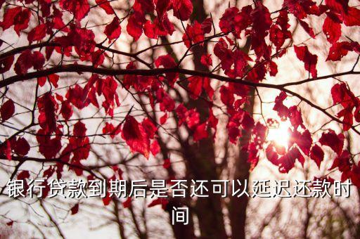 银行贷款到期后是否还可以延迟还款时间