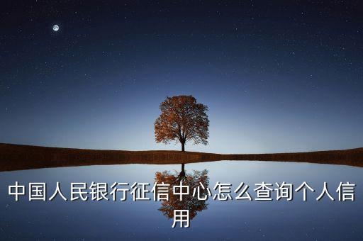 中国人民银行征信中心怎么查询个人信用