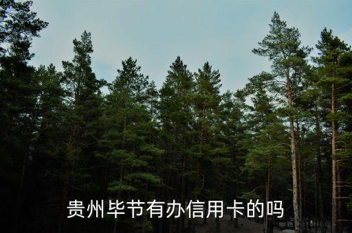 贵州毕节有办信用卡的吗