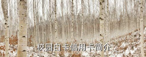 校园白卡信用卡简介