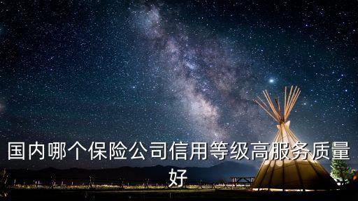 国内哪个保险公司信用等级高服务质量好