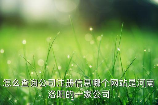 河南工商执照查询网站，从什么网站可以查到工商营业执照