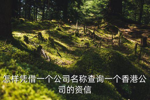 怎样凭借一个公司名称查询一个香港公司的资信