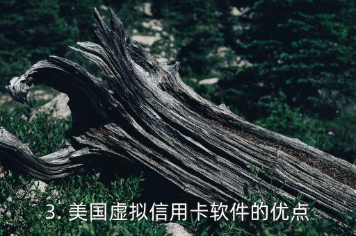 美国虚拟信用卡软件，美国虚拟信用卡软件 - 美国数字信用卡应用