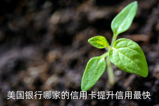 北美开公司信用卡推荐什么，去美国用什么信用卡好啊