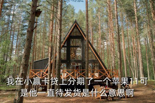 我在小赢卡贷上分期了一个苹果11可是他一直待发货是什么意思啊