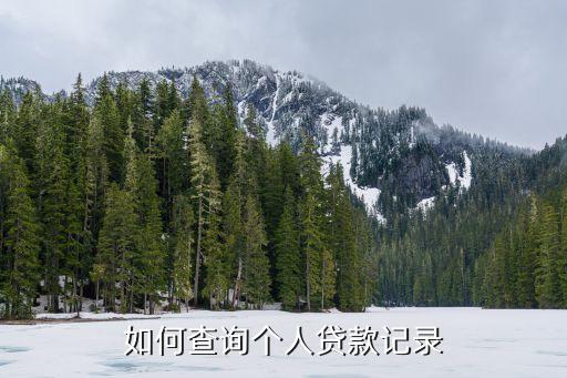 怎样查个人贷款记录明细，个人信贷记录怎么查询
