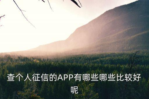 查个人征信的APP有哪些哪些比较好呢