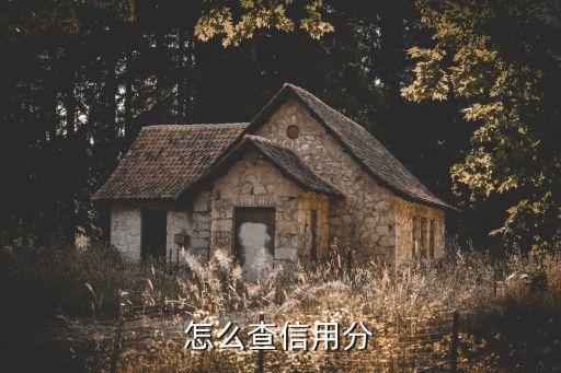 怎么查信用分