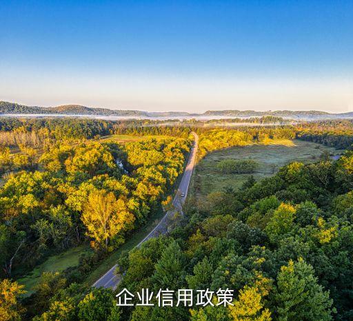 公司销售的信用政策有哪些，信用政策的内容主要包括是什么