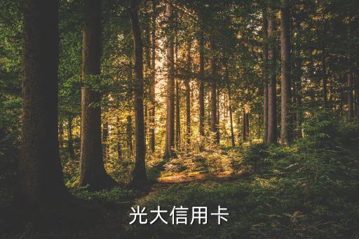 光大信用卡