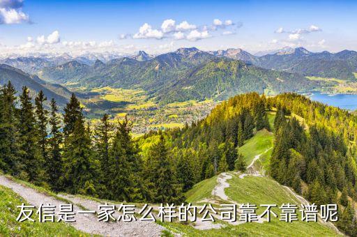 友信是一家怎么样的公司靠不靠谱呢