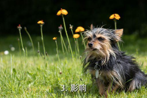 欠信用卡的人现状，信用卡欠款者的现状：应对方法及影响