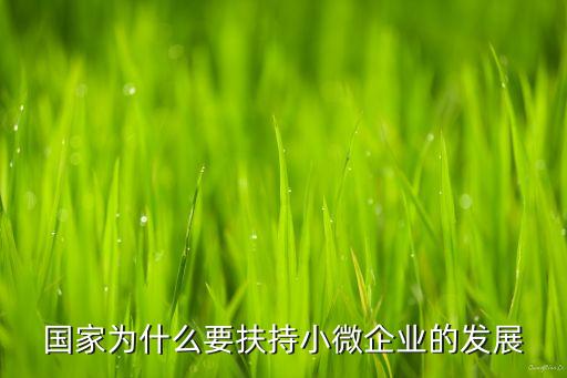 支持小微企业，国家如何对小微企业扶持有什么政策