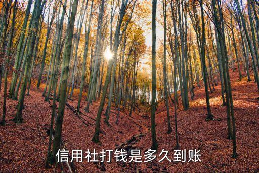 信用社打钱是多久到账