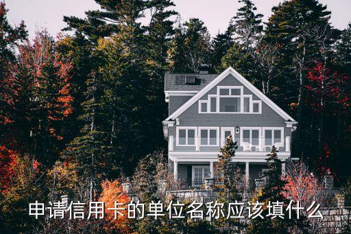 申请信用卡的单位名称应该填什么