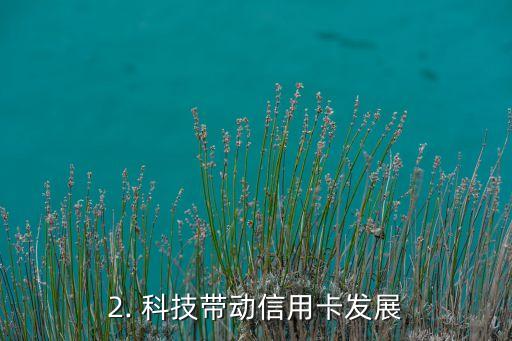 美国的信用卡照片，美国发行新款信用卡，采用照片作为背景