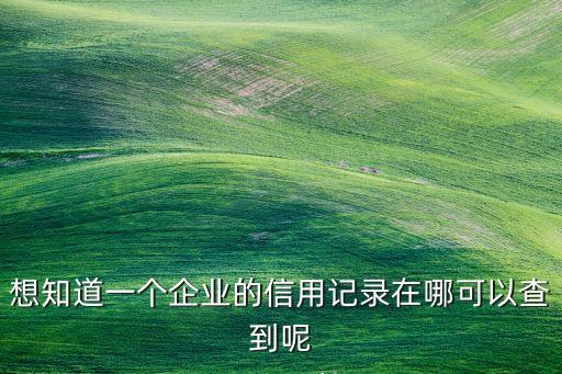 想知道一个企业的信用记录在哪可以查到呢