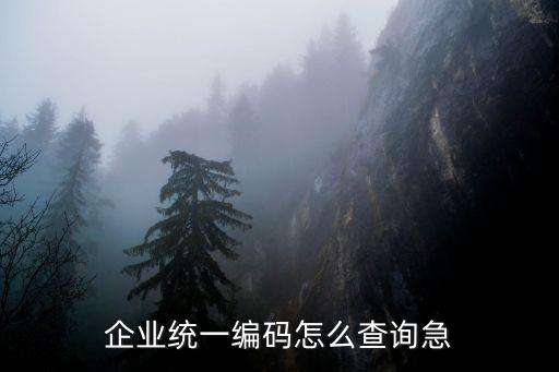 企业统一编码怎么查询急