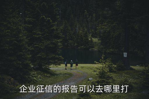 企业征信的报告可以去哪里打