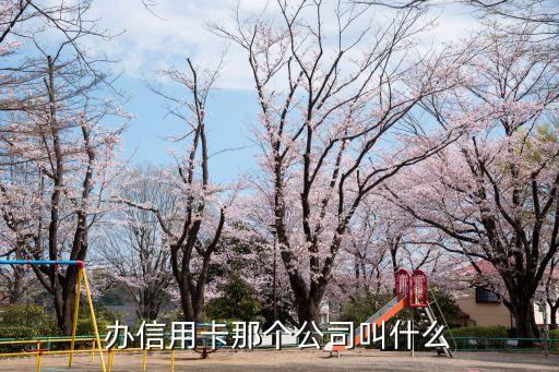 办信用卡那个公司叫什么