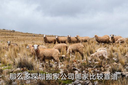 那么多深圳搬家公司哪家比较靠谱