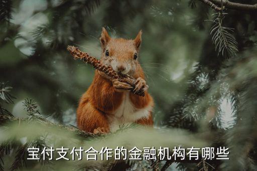 宝付支付合作的金融机构有哪些