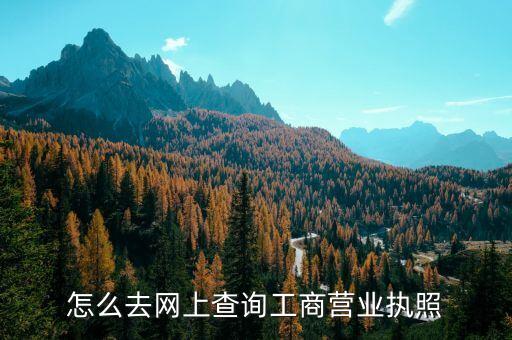 怎么去网上查询工商营业执照