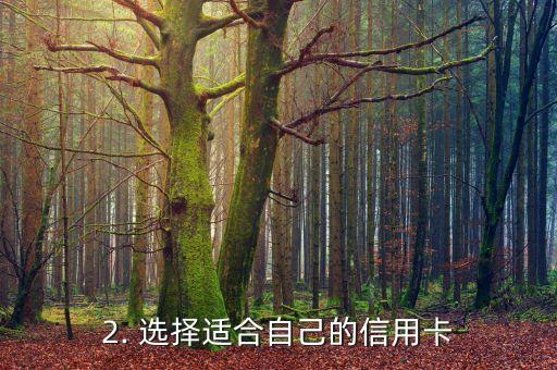 没钱办理信用卡，办信用卡无需支付费用，带您享受便捷生活