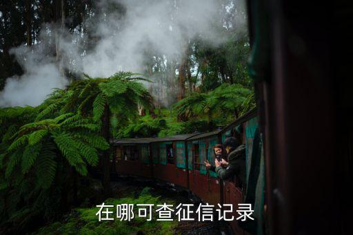 在哪里可以免费查征信，在哪可查征信记录