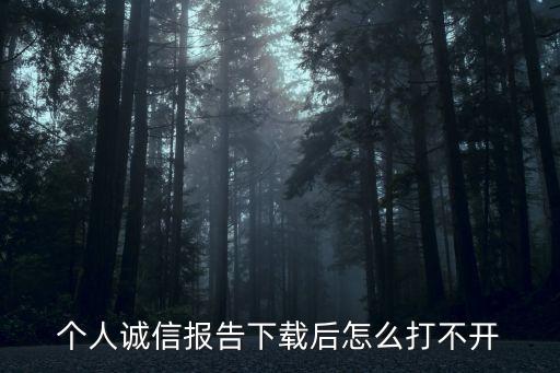 个人诚信报告下载后怎么打不开