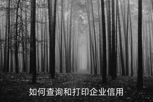 企业征信报告在哪里打印，公司征信记录哪里打印