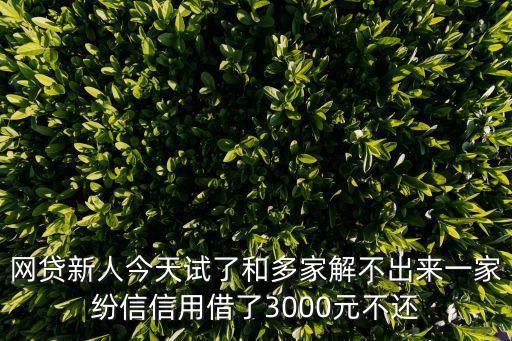 网贷新人今天试了和多家解不出来一家纷信信用借了3000元不还
