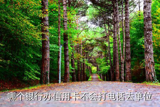 哪个银行办信用卡不会打电话去单位
