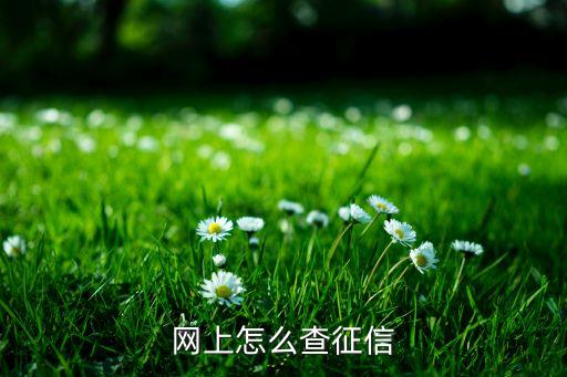 网上怎么查征信