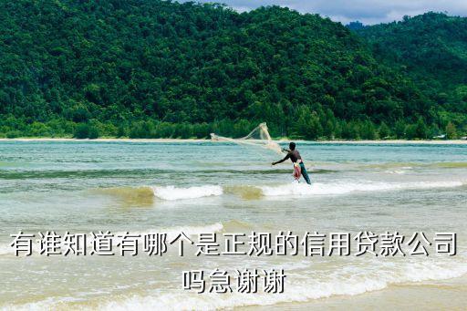 有谁知道有哪个是正规的信用贷款公司吗急谢谢