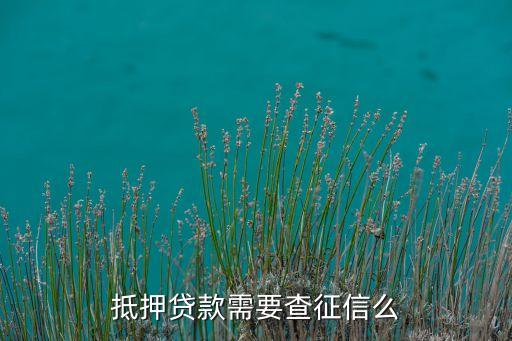 抵押贷款需要查征信么