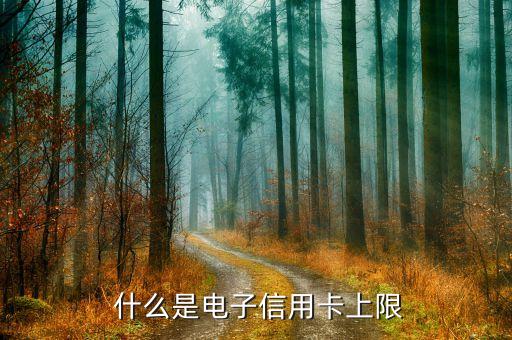 什么是电子信用卡上限