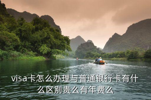 visa卡怎么办理与普通银行卡有什么区别贵么有年费么
