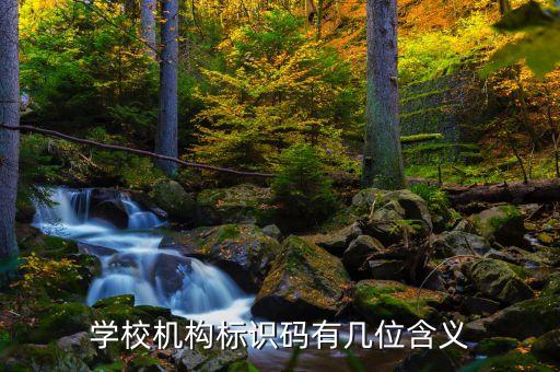 学校的社会信用代码多少位，学校机构标识码有几位含义