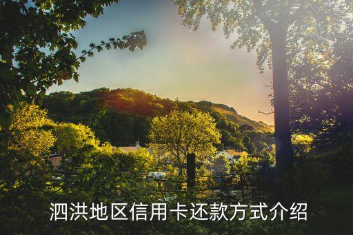 泗洪地区信用卡还款方式介绍
