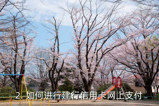 建行信用卡网上付款，建行信用卡网上缴费