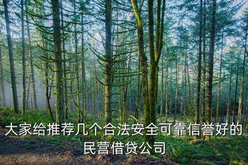 大家给推荐几个合法安全可靠信誉好的民营借贷公司