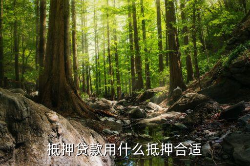 抵押贷款用什么抵押合适