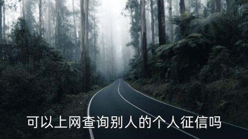 可以上网查询别人的个人征信吗